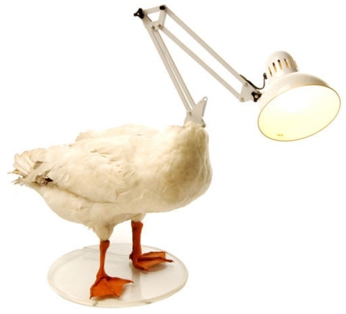 Chicken Lamp