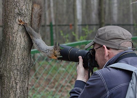 photographer-squirrel